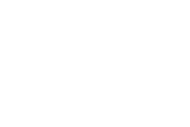 Stellason25th